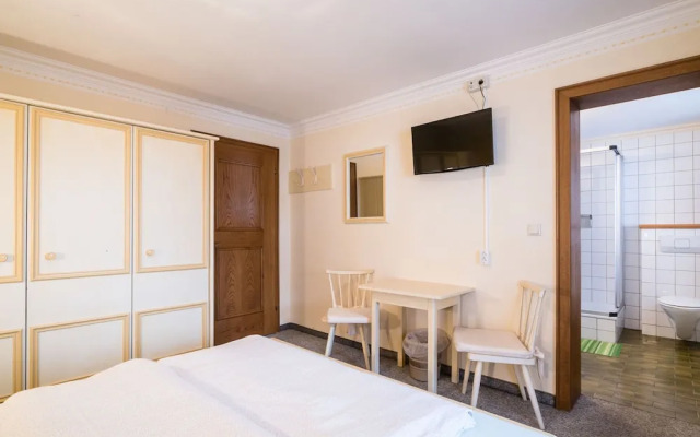 Spacious Apartment in Salzburg near Ski Area