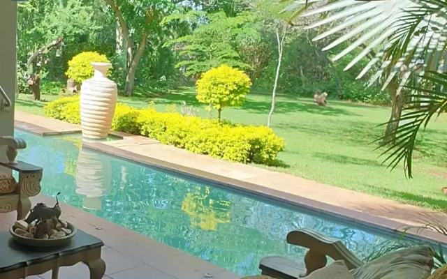 Kruger Allo B&B