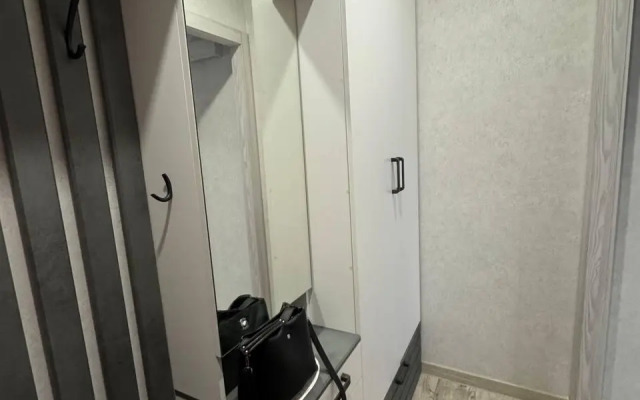 Апартаменты на улице Габдуллы Тукая 65А