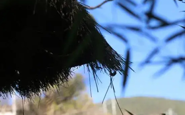 Nuodeng Yuanse Homestay