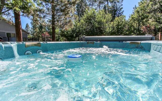 Bluebird Bear 1549 by RedAwning