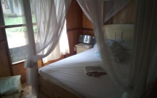 Misahualli Adventure Hostel