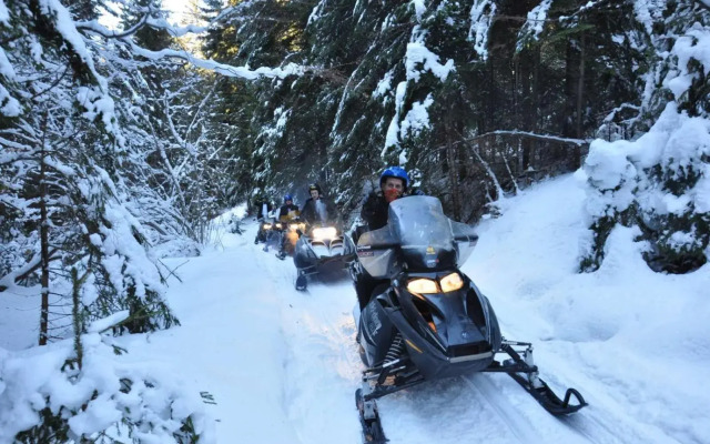 Pinewood ANG luxurious apartment A43, Borovets Gardens