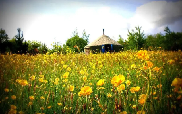 Roundhouse Yurt, Stunning Views, Totnes Dartmouth