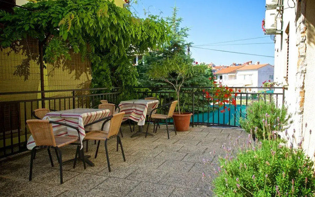 Pansion Comfort Exclusive