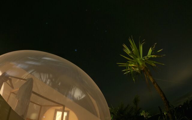 Green Land Bubble Glamping By Mint