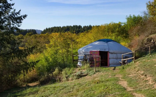 Yourtes - La Ferme de la Source