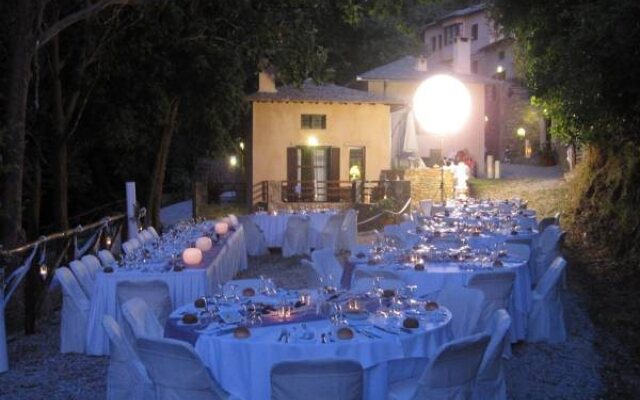 Vergopoulos Olive Yard