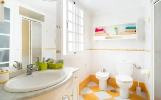 Sea Stars Las Canteras