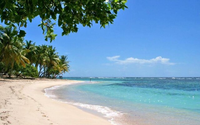 Apartment With in Sainte Rose With Pool Access Furnished