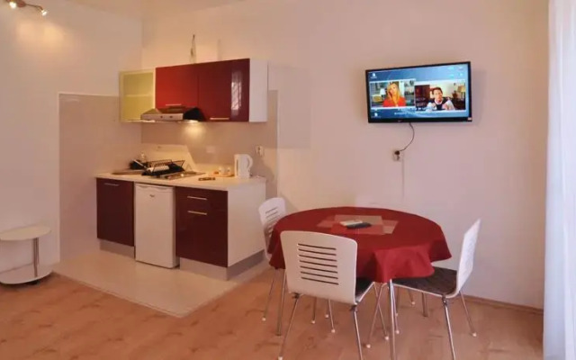 Apartment Nemo