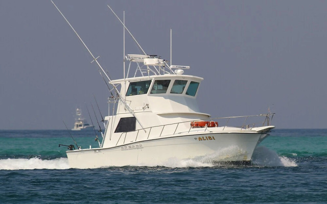 Coastal Tides at Enclave 403a