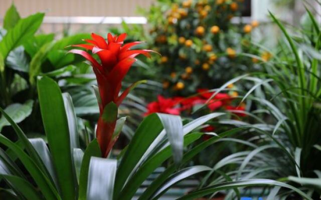 Wuzhen Flower House