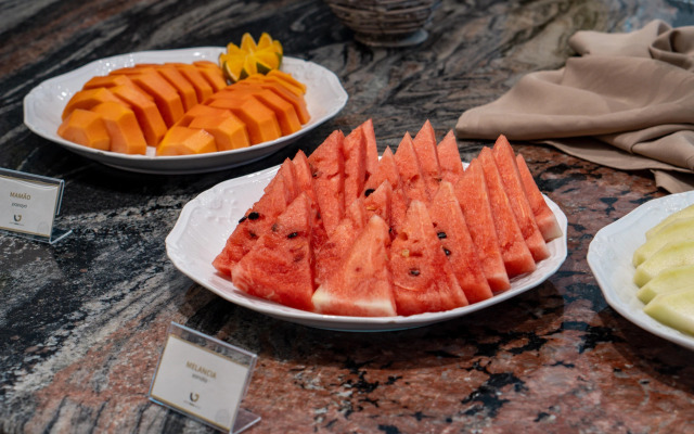 SUIÇA IGUAÇU Hotel & Resort