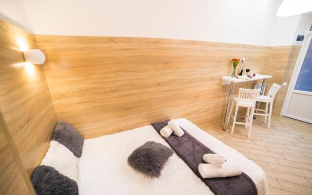 Mini Economy apartments- Filatova 10