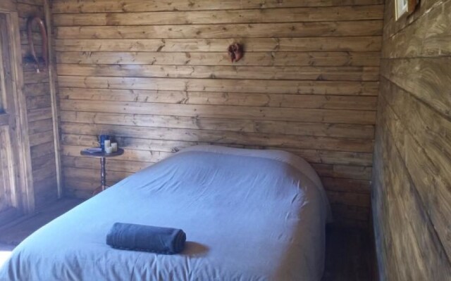 Les Insolites d'Eljie