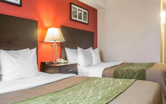 Comfort Hotel & Suites