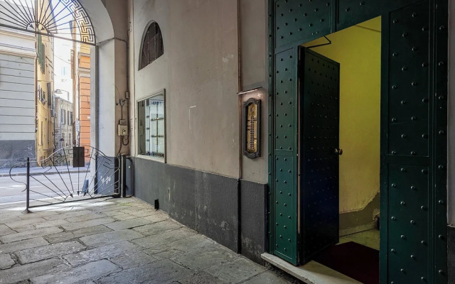 A Lovely Nest in the City