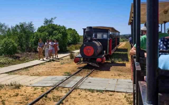 Beautiful Town Centre Apartment with Shared Pool