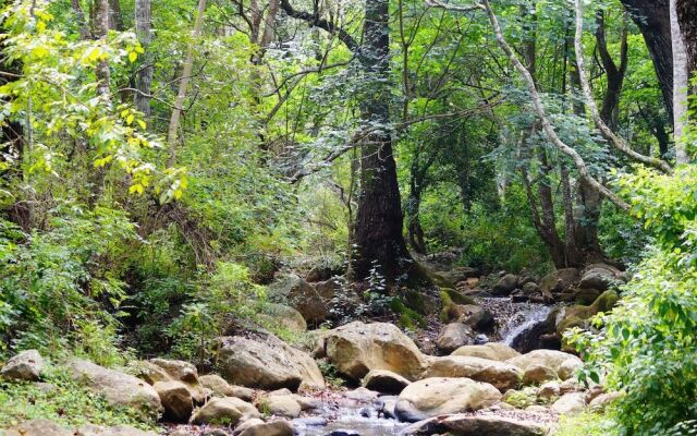 Secret Valley Jungle Resort