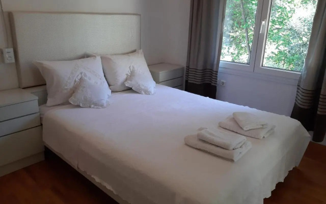 Palio Villa