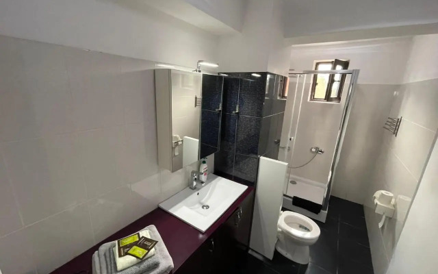 Giurgiului Apartament
