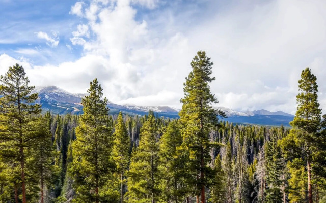 White Cloud Home #487