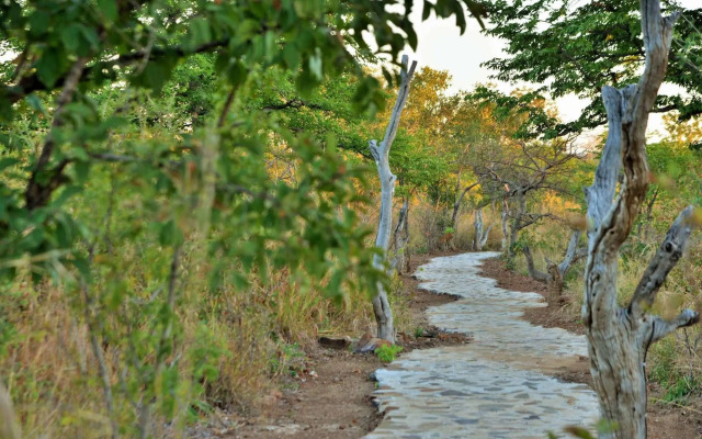 Wildtrack Safaris Eco Lodge