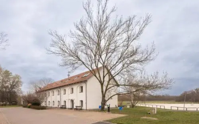 Vadkert Major