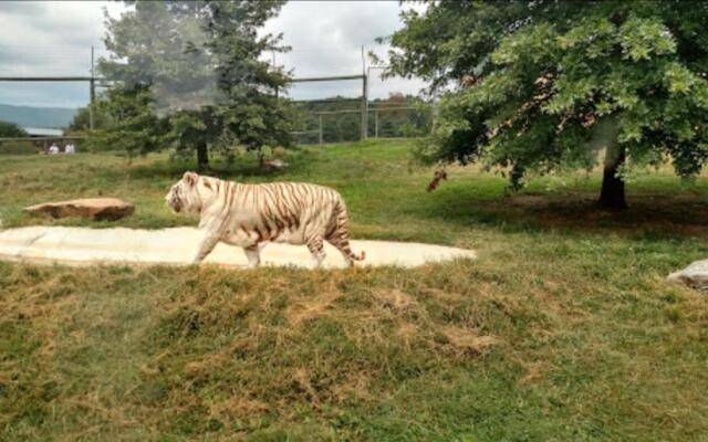 Relax Inn By OYO Natural Bridge I-81