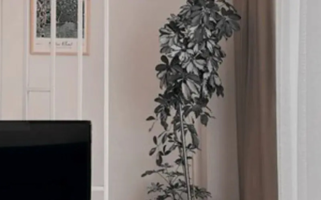 Vista Living Apartments