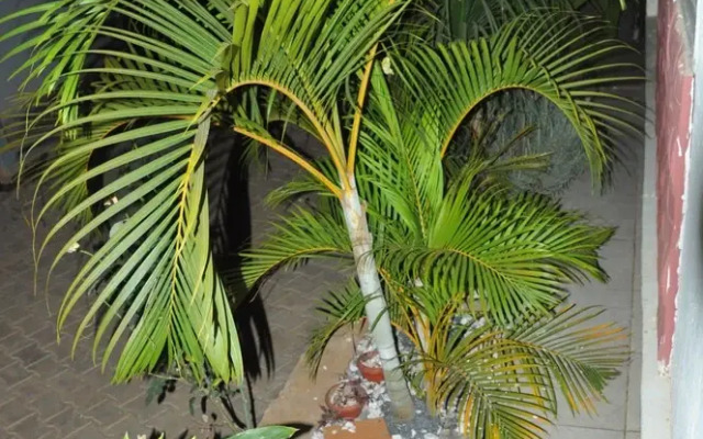 Trinity Resort Hotel and Spa