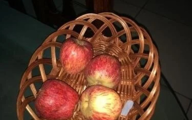 Green Pastures Coorg