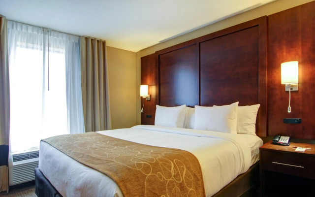 Comfort Suites Carlsbad