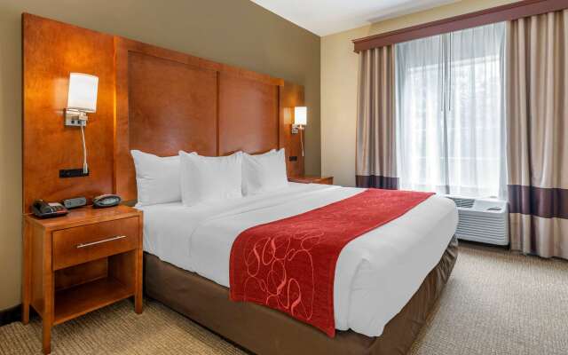 Comfort Suites Newark - Harrison