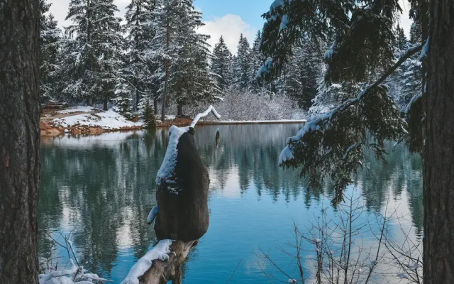 Mržek House with Sauna