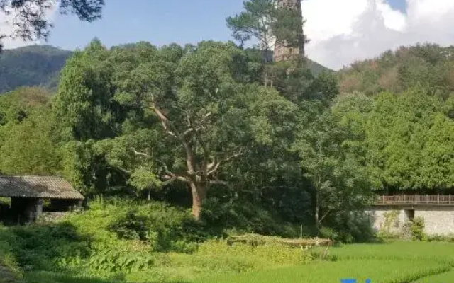 Tiantai Yijian Homestay