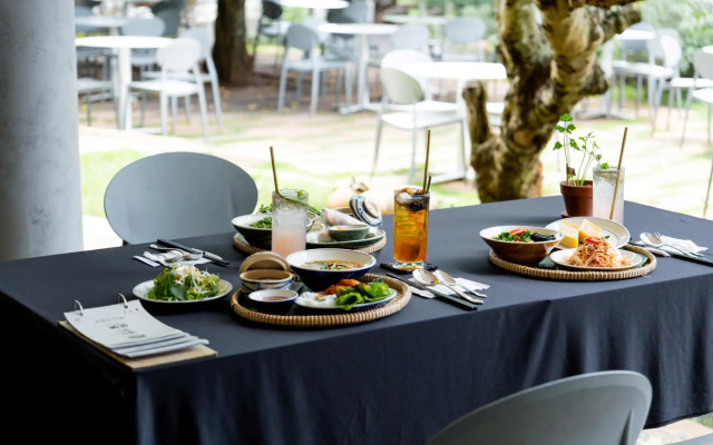 The Coffee City - Healing & Retreats