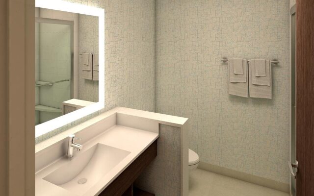 Holiday Inn Express Auburn Hills South by IHG