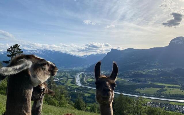 Jurte beim Lama- & Alpakahof Triesenberg