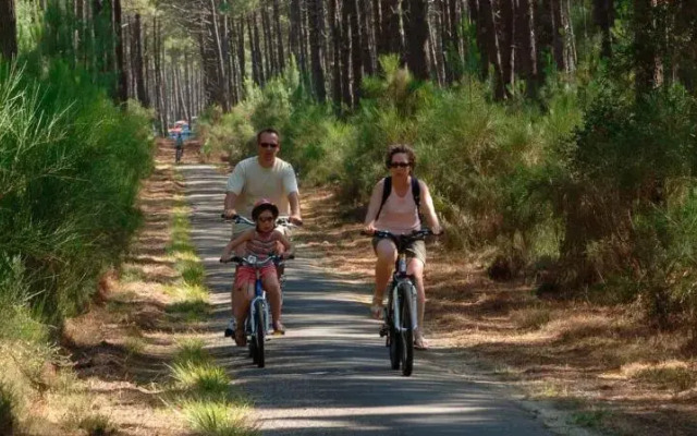 Le Cocon Landais - 3 chambres - WIFI - SOUSTONS
