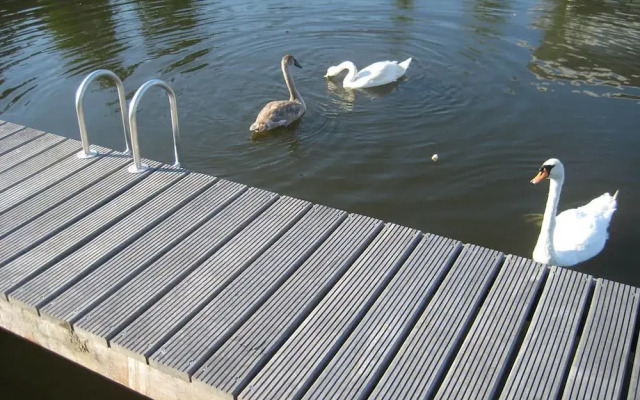 Cozy Forest Villa on the Water Near Harderwijk