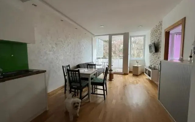 Schönbrunn Luxury Apartment