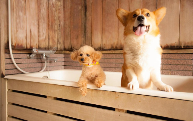 Izumigo Takayama Dog Paradise Hotel