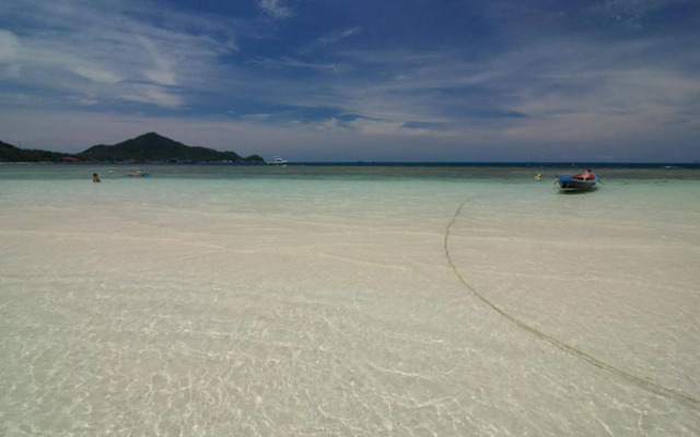Palm Leaf Resort