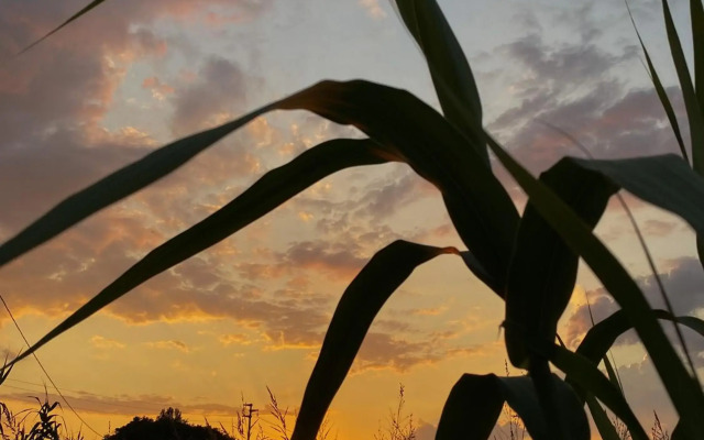 Casa Vacanza Lilia vicino la Stazione e Caserma