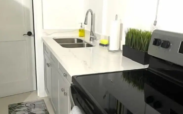 Modern Luxury 1BR Condo in Kingston