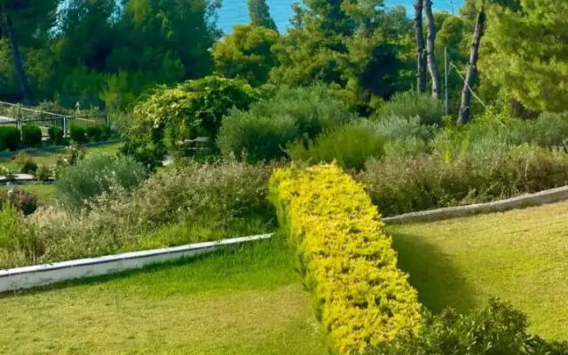 Summer House with Amazing View