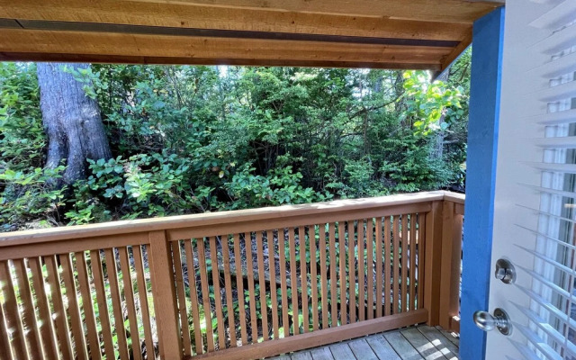 Sea Star Cabin