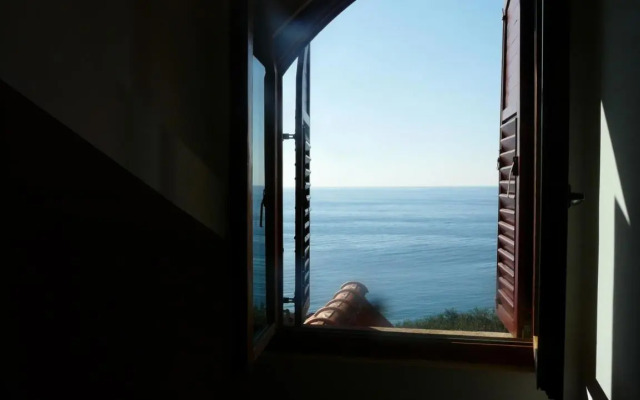 Guest house Živković